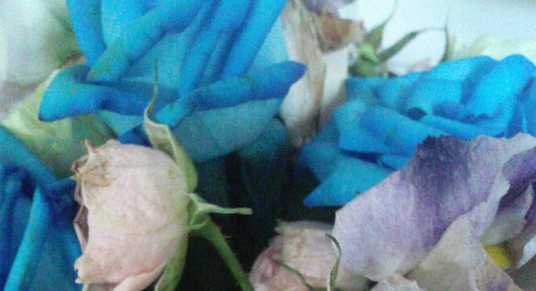 a67172be8223a34f071afbe7da6d1d62