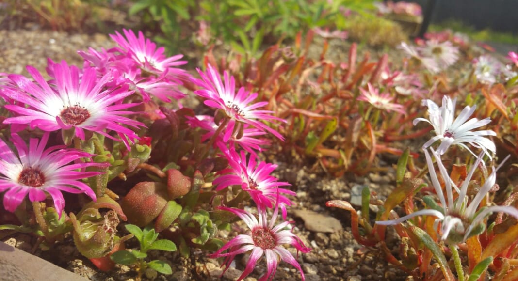 fece42be347ad1babf5cfc5c3732c880