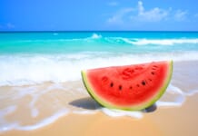 実録!アピ社員の夏休みの過ごし方とは!?